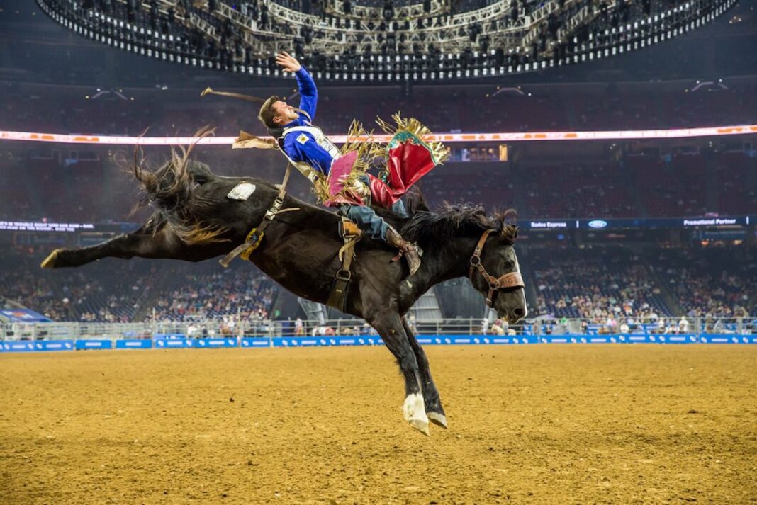 Fun Things to Do in Houston This Winter