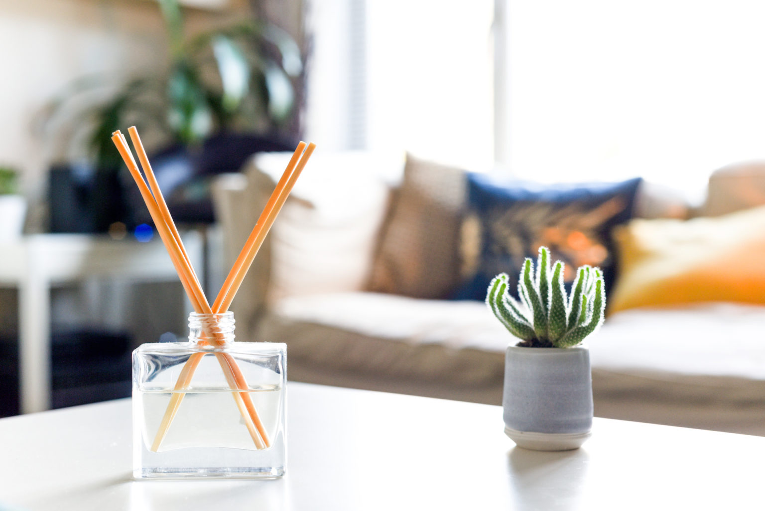 How to Get Rid of Musty Smells in Your Apartment