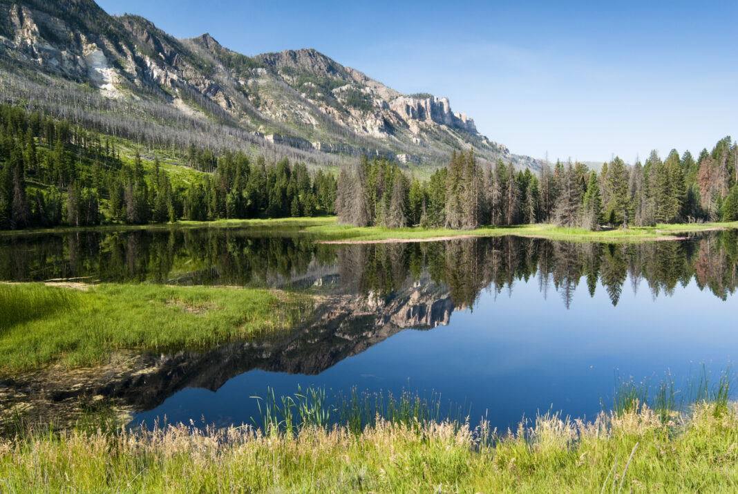 7 Best Places to Live in Wyoming