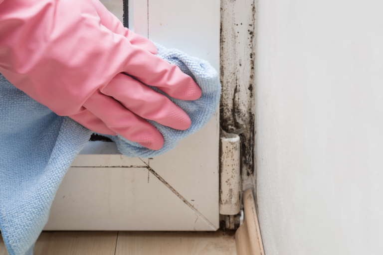 notice to tenant to clean property