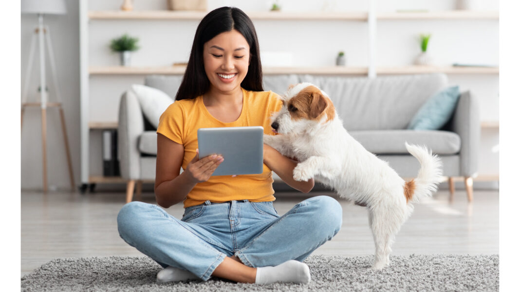 The 11 Best Pets for Apartments