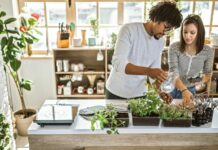 10 Ways to Make Your Apartment More Eco-Friendly