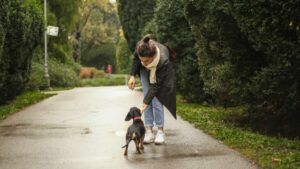 Learn everything you need to know about renting with pets.