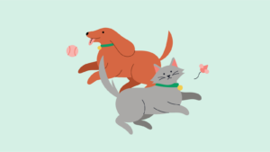 Discover the most pet-friendly cities for renters.