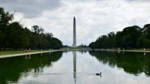 A duck swimming in pond before Washington monument.