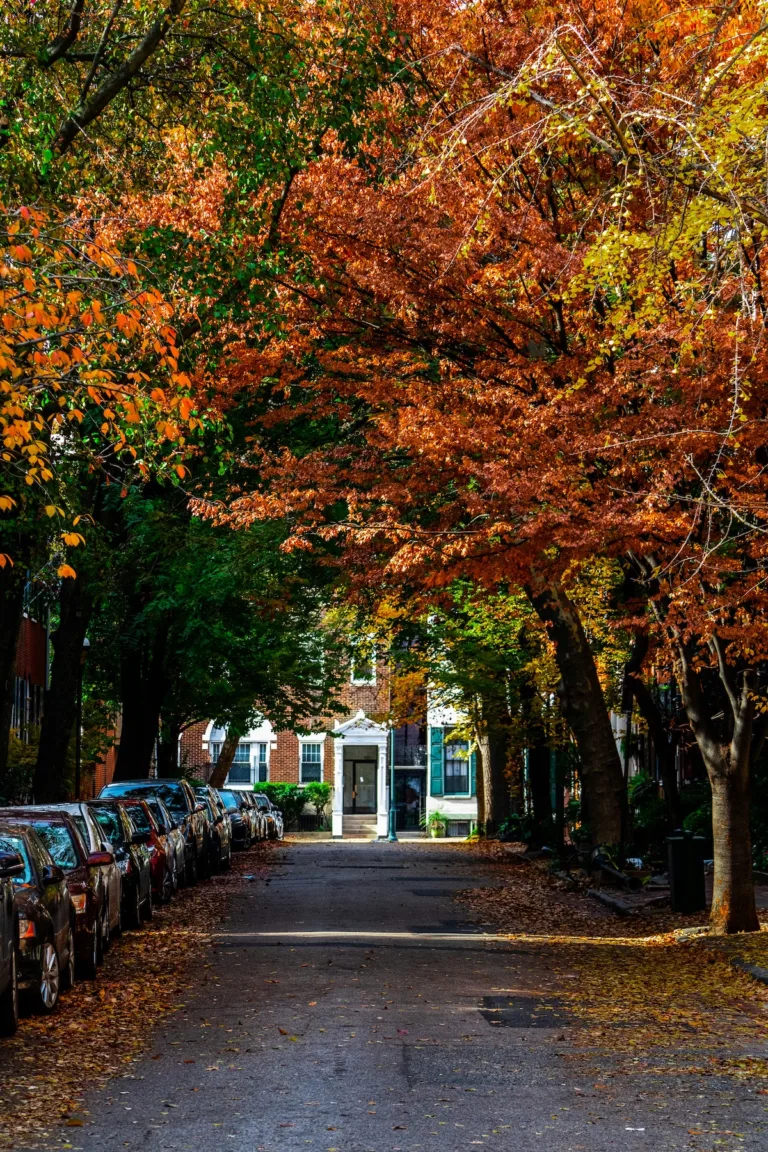 Affordable Philadelphia neighborhood street scene with row houses and tree-lined sidewalks showing accessible urban living options