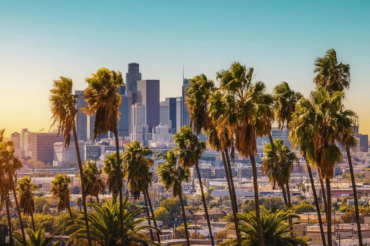 A view of downtown Los Angeles with palm trees in the foreground, showcasing the city as the largest city in California.